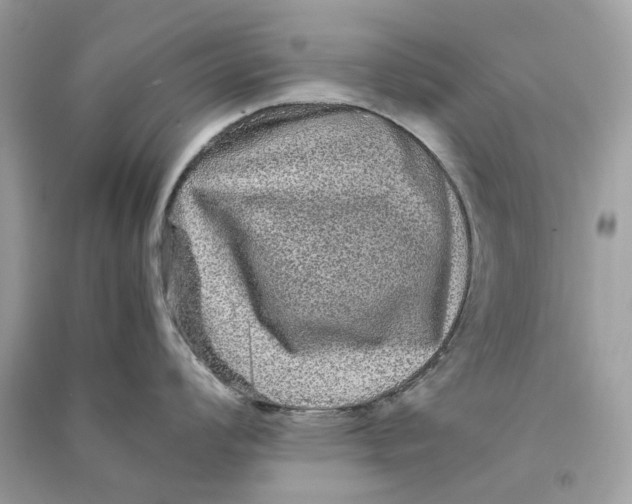 X0000090761008200708101743