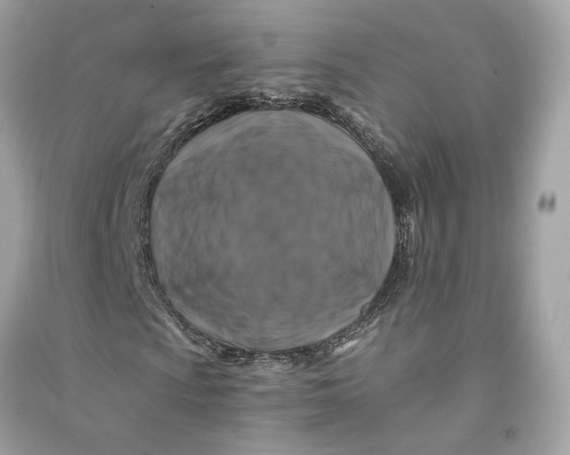 X0000090761009200708101742