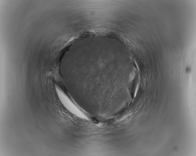 X0000090761010200708101742