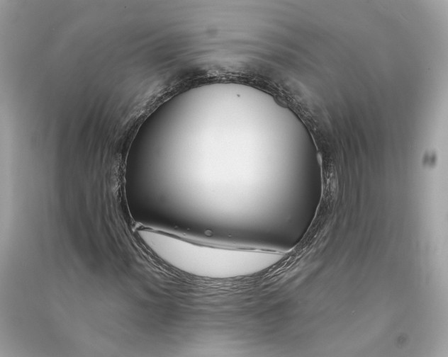 X0000090761012200708101742