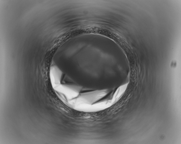 X0000090761013200708101742