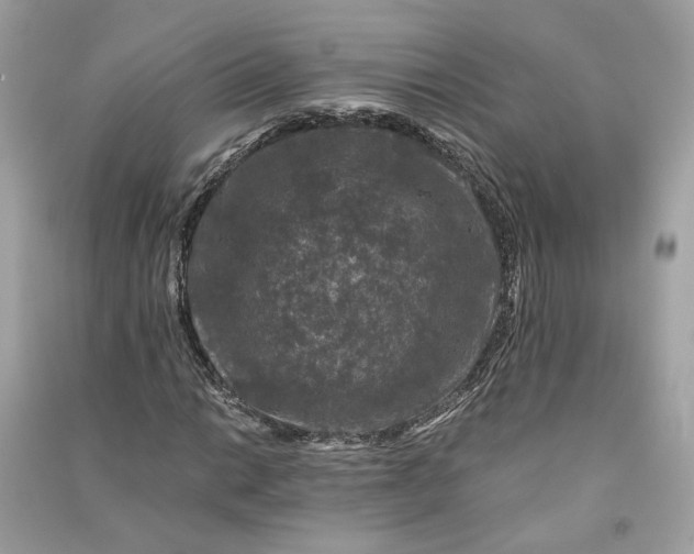 X0000090761014200708101742