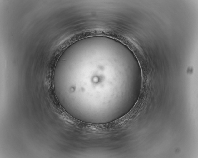 X0000090761015200708101742