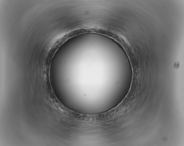 X0000090761016200708101742