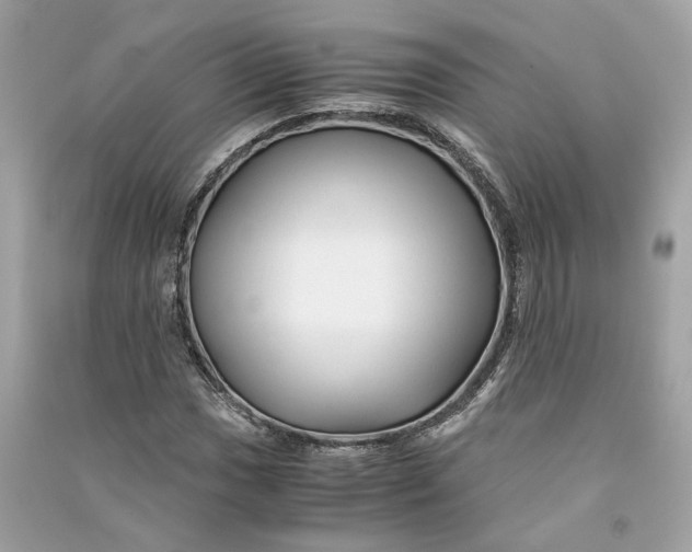 X0000090761017200708101742