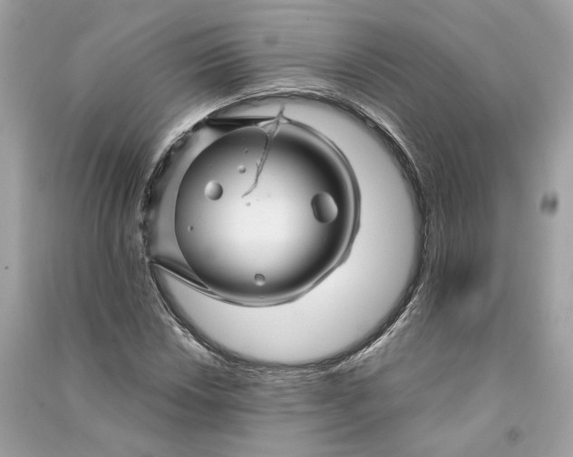 X0000090761018200708101742