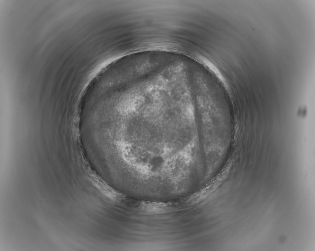 X0000090761019200708101742