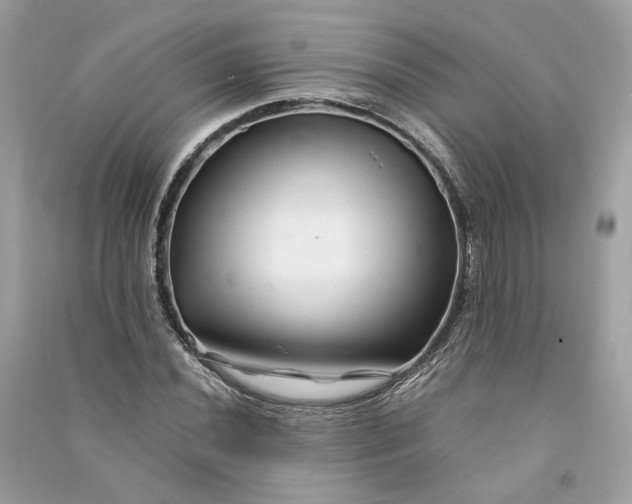 X0000090761020200708101742