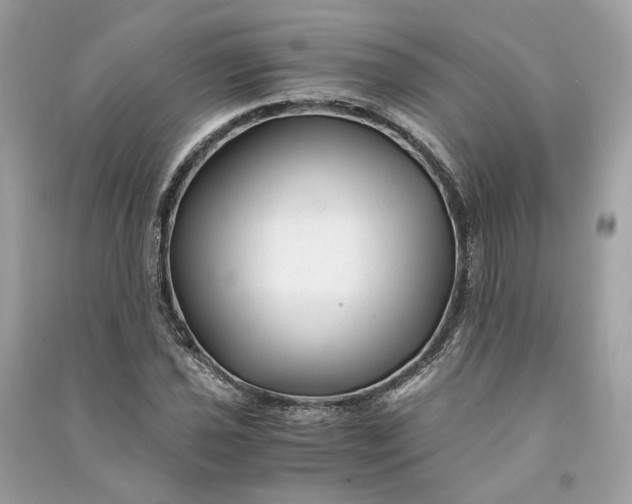 X0000090761021200708101742