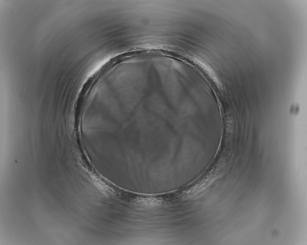 X0000090761023200708101742