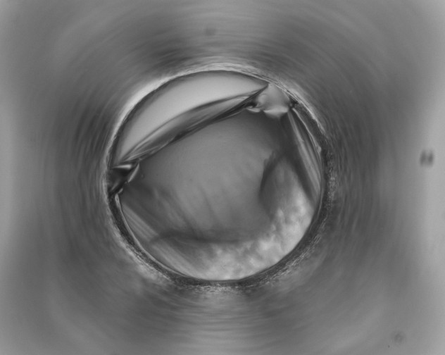 X0000090761024200708101742