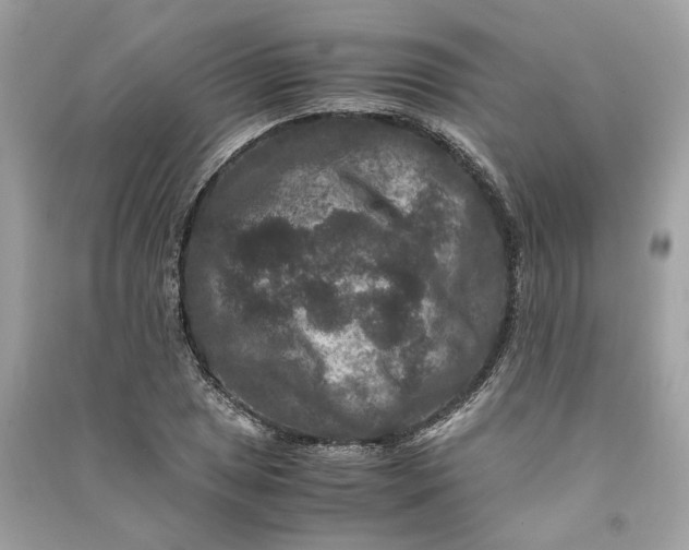 X0000090761025200708101742