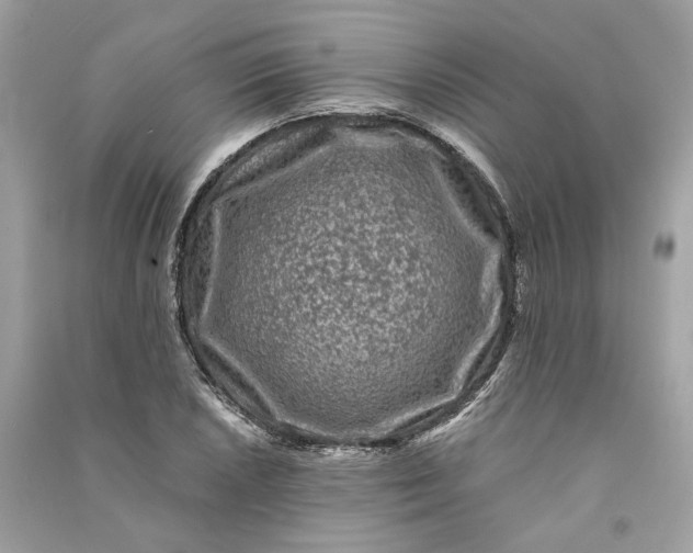 X0000090761026200708101742