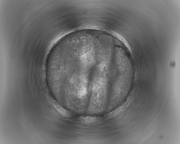 X0000090761027200708101743