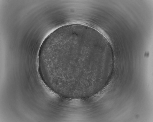 X0000090761028200708101743