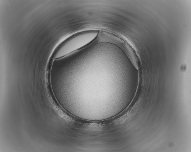 X0000090761029200708101743