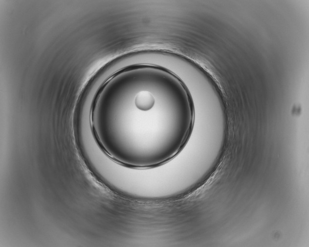 X0000090761030200708101743