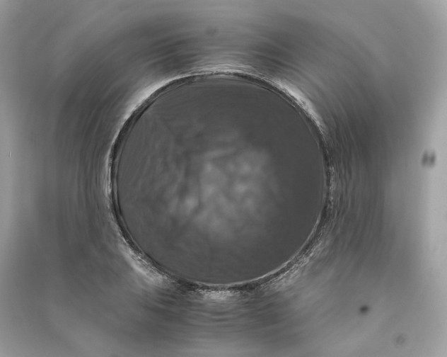 X0000090761031200708101743