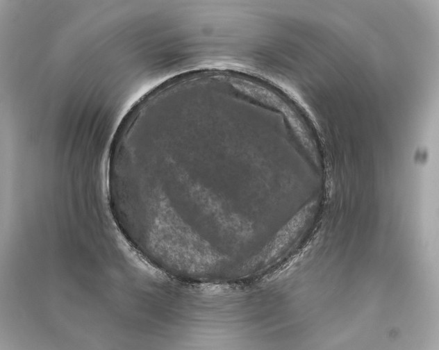 X0000090761032200708101743