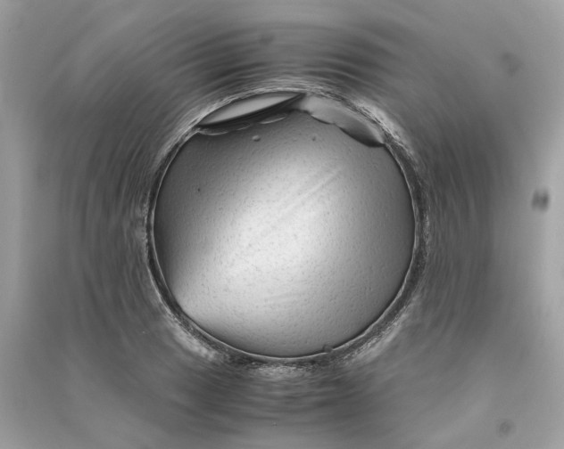 X0000090761033200708101743