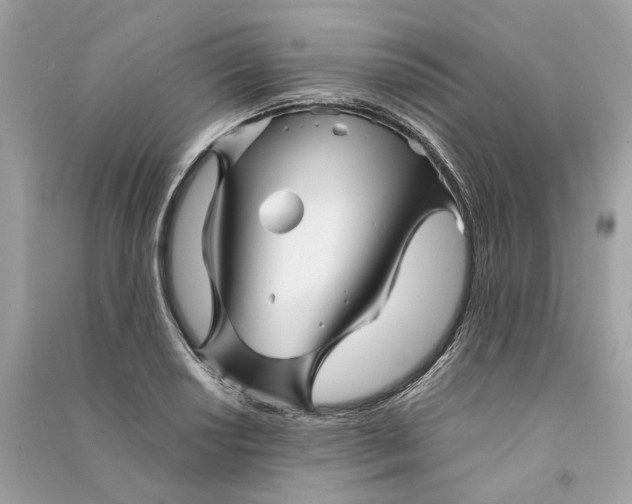 X0000090761034200708101743