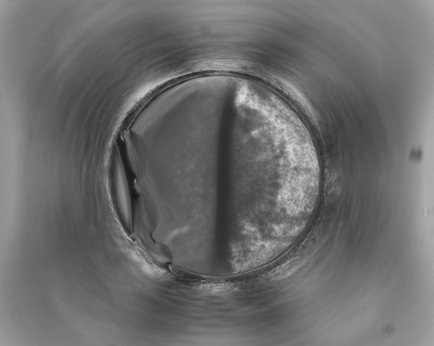 X0000090761035200708101743