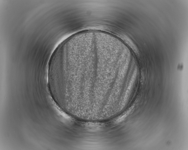 X0000090761036200708101743