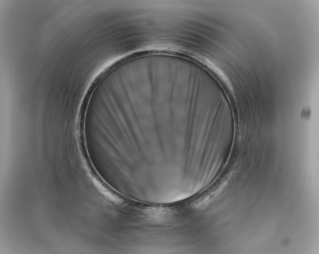 X0000090761037200708101743