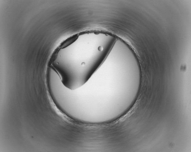 X0000090761038200708101743