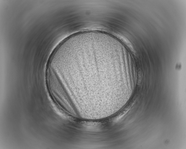 X0000090761039200708101743