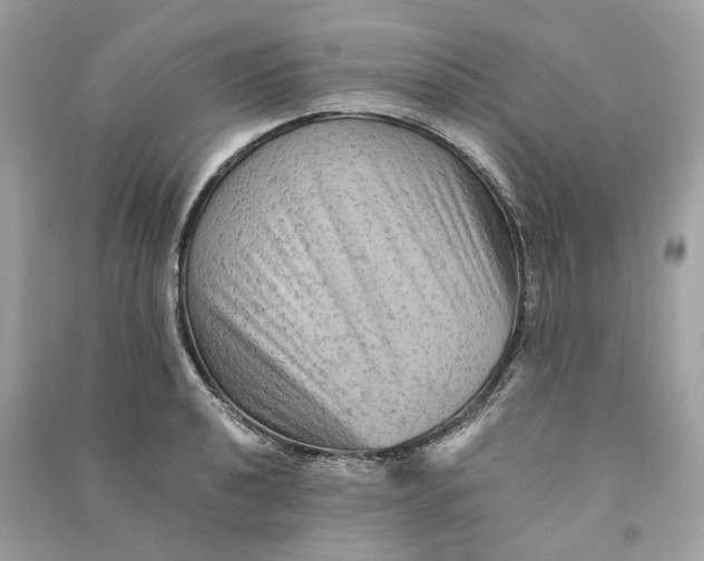 X0000090761040200708101743