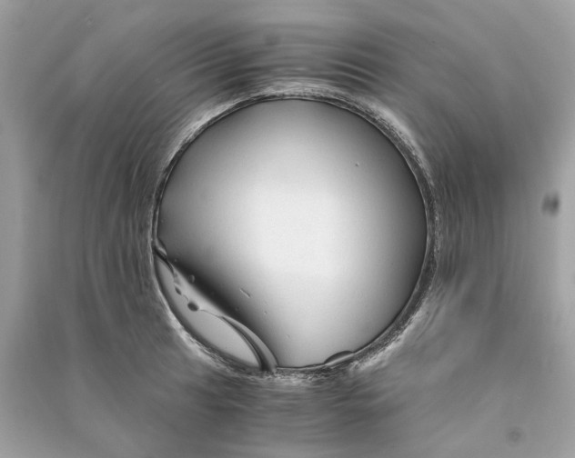 X0000090761041200708101743