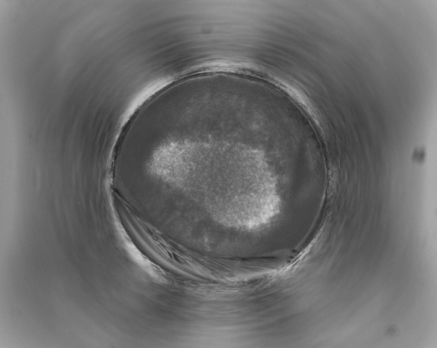 X0000090761042200708101743