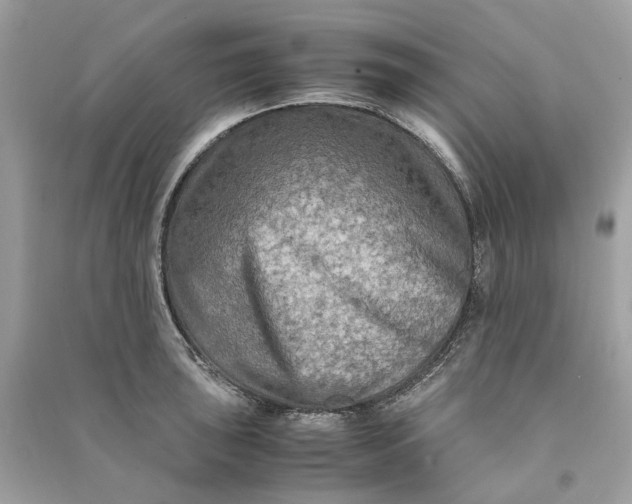 X0000090761043200708101743