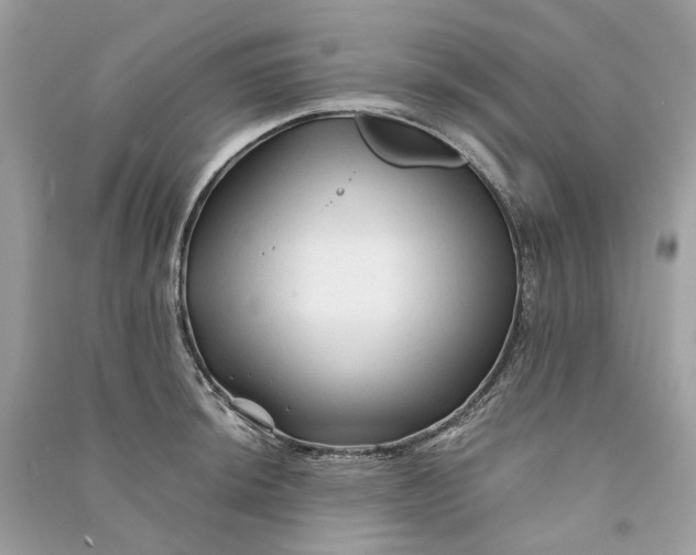 X0000090761044200708101743