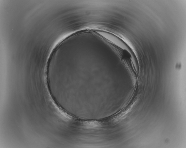 X0000090761045200708101743