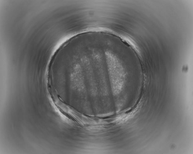 X0000090761046200708101743