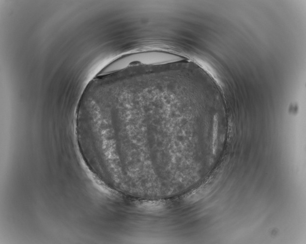 X0000090761047200708101743