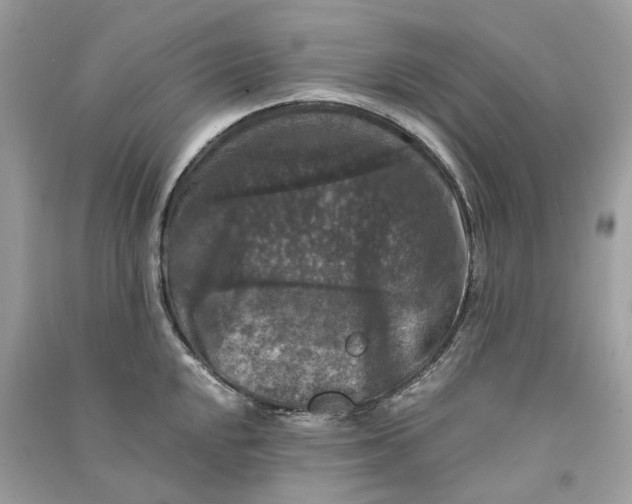 X0000090761048200708101743