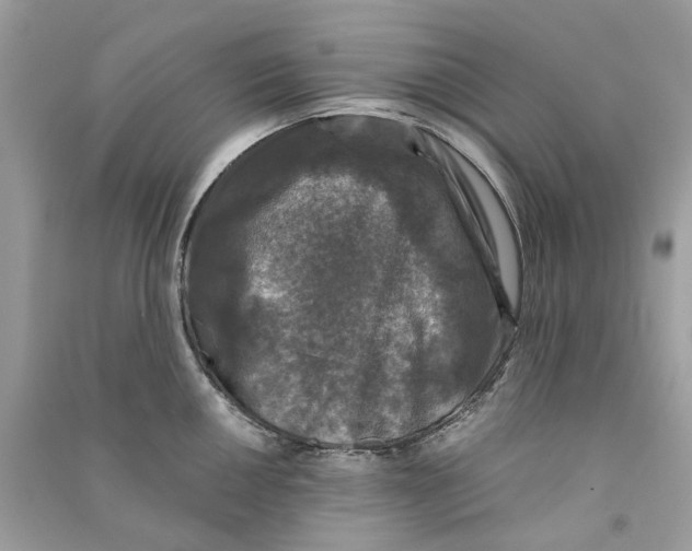 X0000090761050200708101743