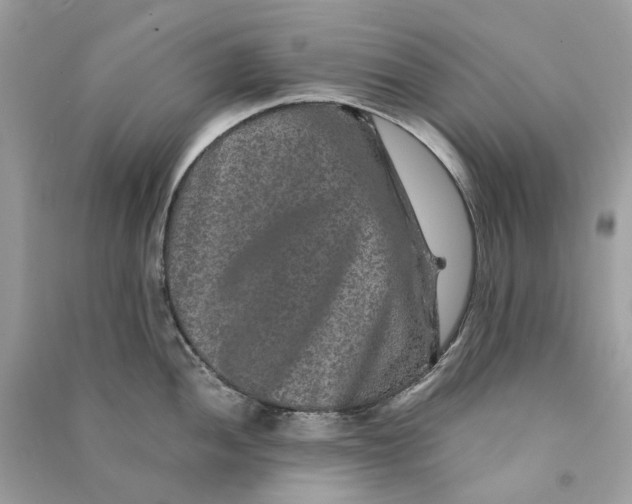 X0000090761052200708101743