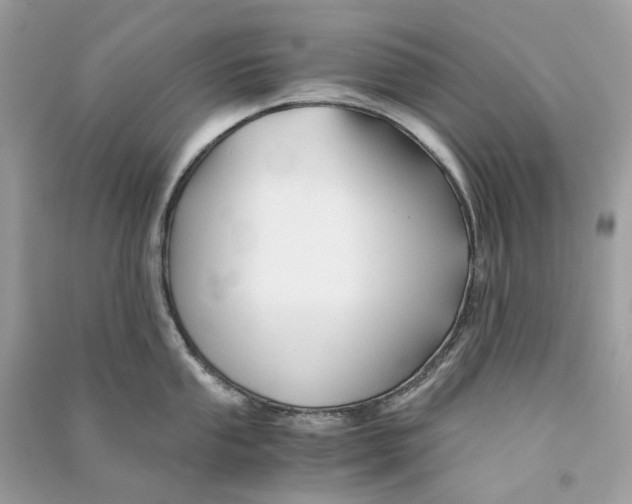 X0000090761053200708101743