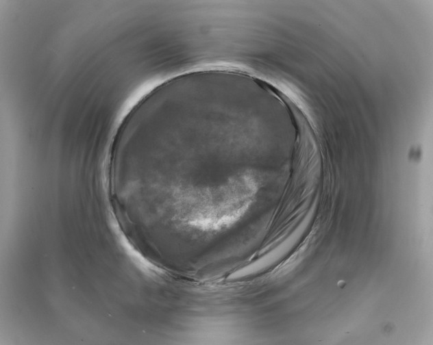 X0000090761054200708101743