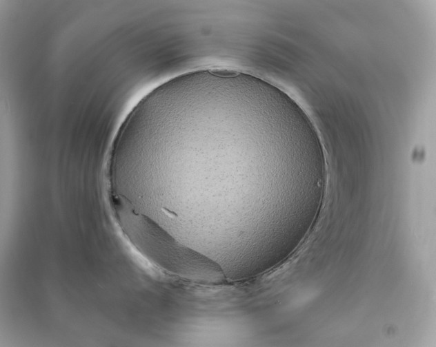 X0000090761056200708101743