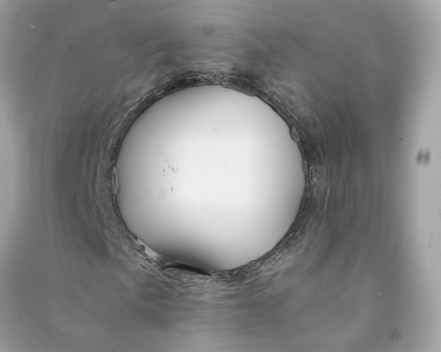 X0000090761057200708101742