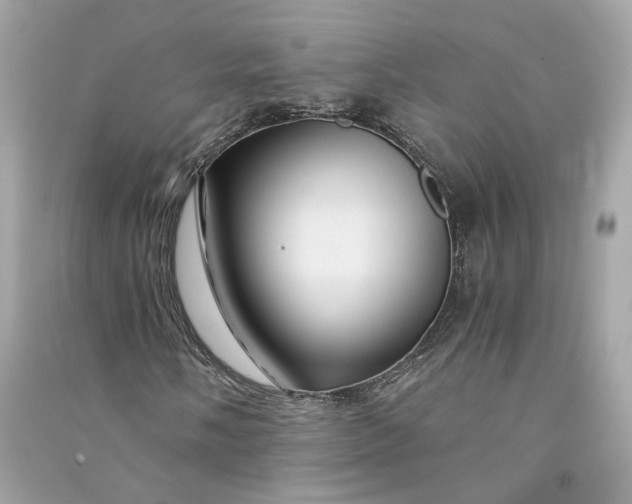 X0000090761058200708101742