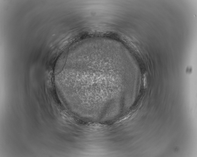 X0000090761059200708101742