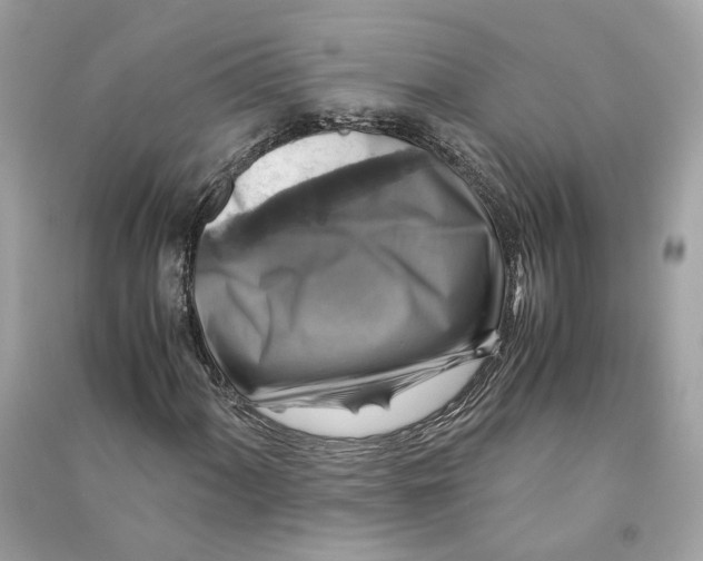 X0000090761060200708101742