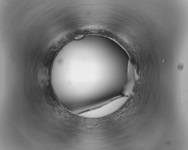 X0000090761062200708101742