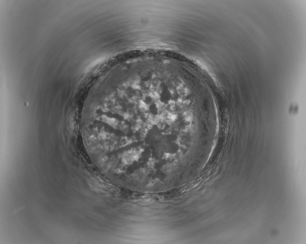 X0000090761063200708101742